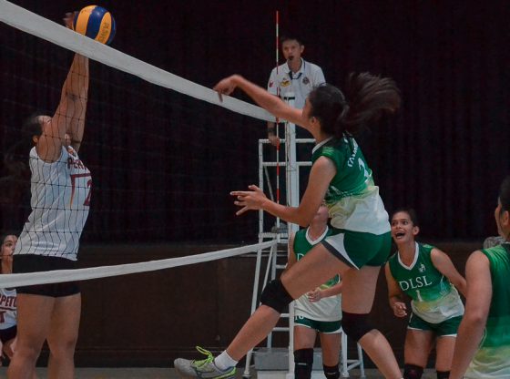 Lady Stallions defend SLCUAA volleyball crown against Altas, 3-0
