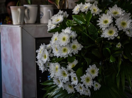 Engineering student takes own life at home